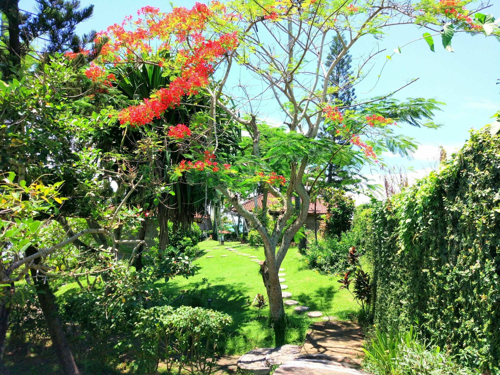 Gajah Mina Beach Resort Selemadeg  Ngoại thất bức ảnh