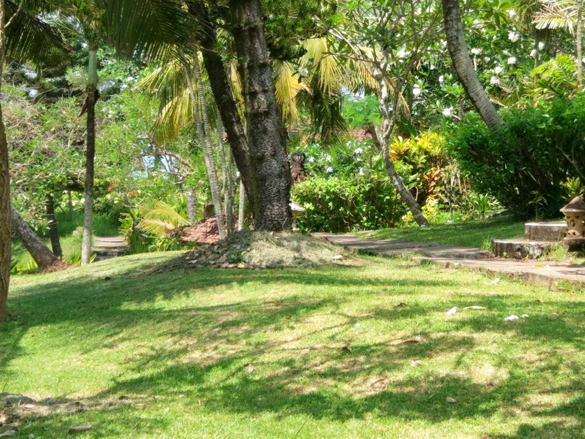 Gajah Mina Beach Resort Selemadeg  Ngoại thất bức ảnh
