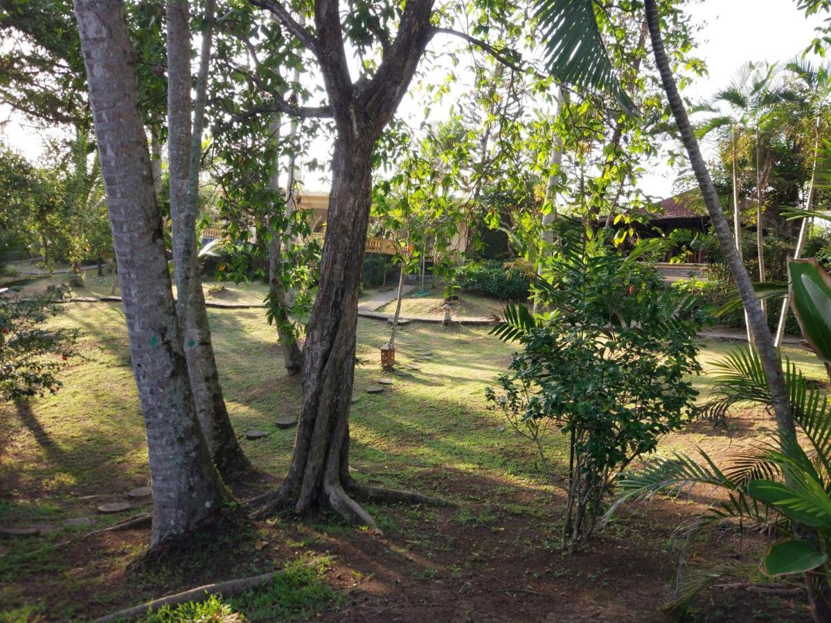 Gajah Mina Beach Resort Selemadeg  Ngoại thất bức ảnh